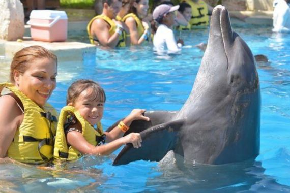 dolphinaris-cancun